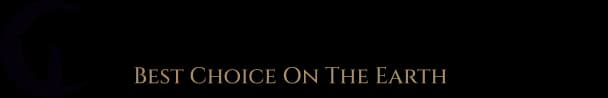First Horse on the Moon logo